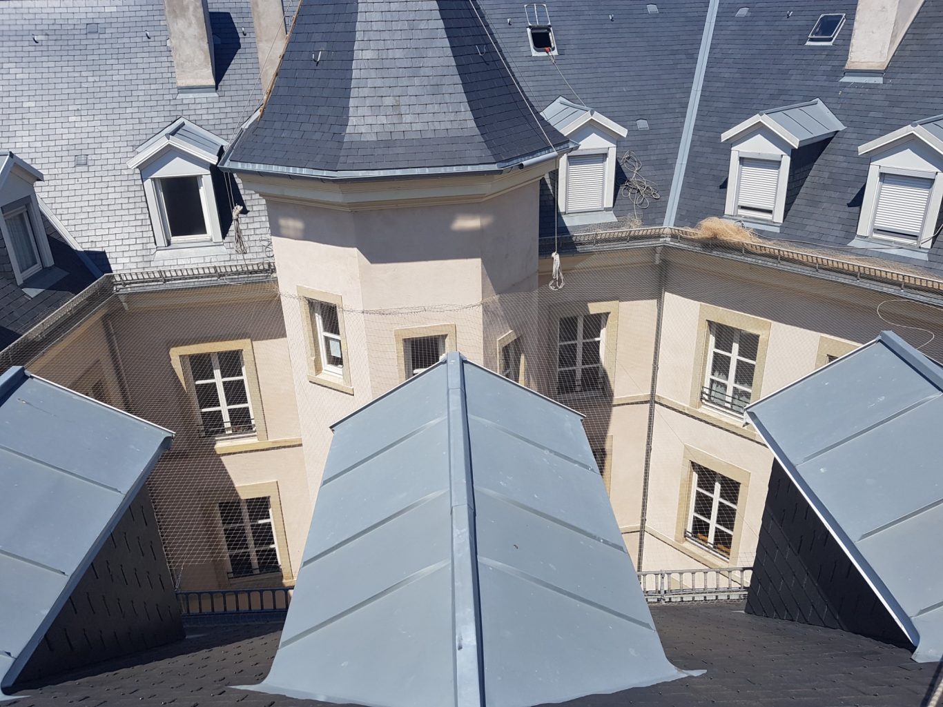 Pose d'un filet anti pigeon sur une résidence locative Pose d'un filet anti pigeon sur une résidence locative