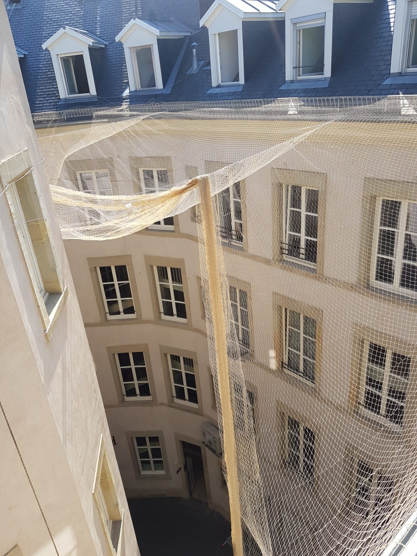 Pose d'un filet anti pigeon sur une résidence locative Pose d'un filet anti pigeon sur une résidence locative